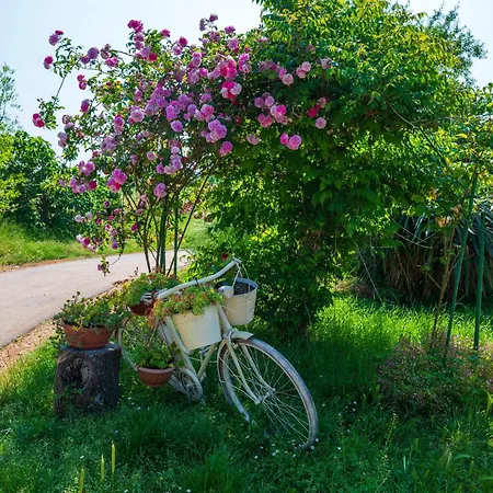 Casa Oliva Prázdninový dům Jadreški