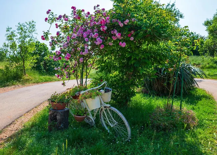 Casa Oliva 펜션 Jadreški